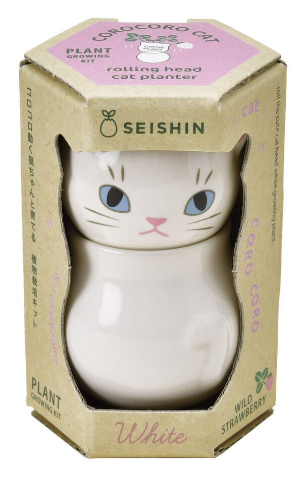 noted_gd1026.03_package_web